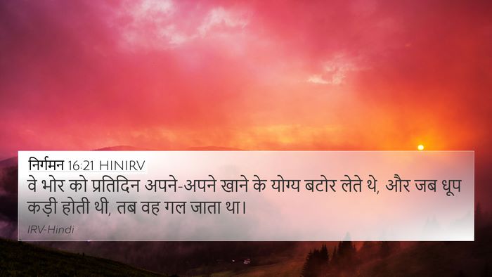 निर्गमन 16:21 HINIRV 4K Wallpaper - वे भोर को प्रतिदिन - 4K Wallpaper Bible Verse