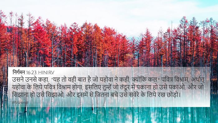 निर्गमन 16:23 HINIRV Bible Verse Image