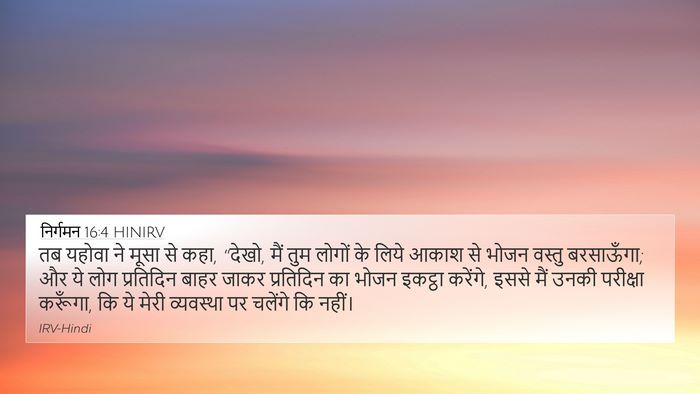 निर्गमन 16:4 HINIRV Bible Verse Image