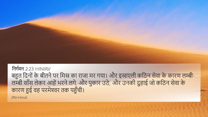 निर्गमन 2:23 HINIRV Bible Verse Image