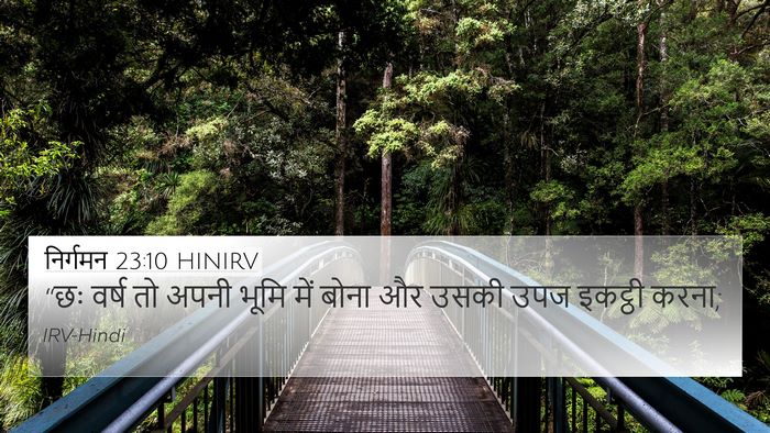 निर्गमन 23:10 HINIRV Bible Verse Image