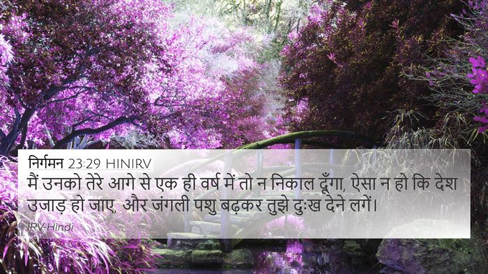 निर्गमन 23:29 HINIRV Bible Verse Image