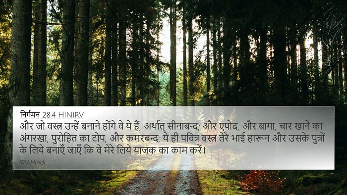 निर्गमन 28:4 HINIRV Bible Verse Image
