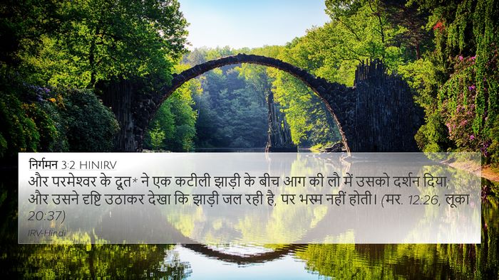 निर्गमन 3:2 HINIRV Bible Verse Image