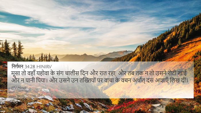 निर्गमन 34:28 HINIRV Bible Verse Image