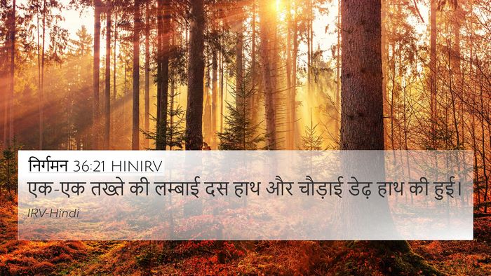 निर्गमन 36:21 HINIRV 4K Wallpaper - एक-एक तख्ते की - 4K Wallpaper Bible Verse