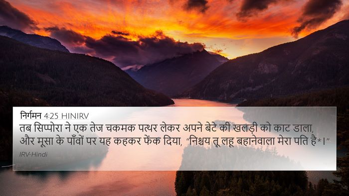 निर्गमन 4:25 HINIRV Bible Verse Image