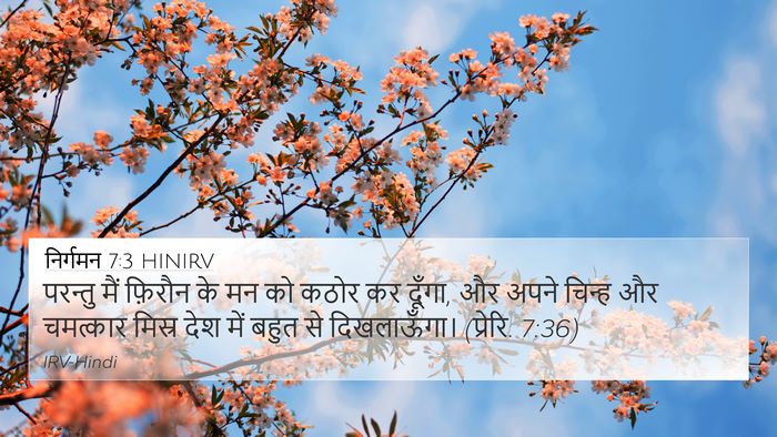 निर्गमन 7:3 HINIRV 4K Wallpaper - परन्तु मैं फ़िरौन - 4K Wallpaper Bible Verse