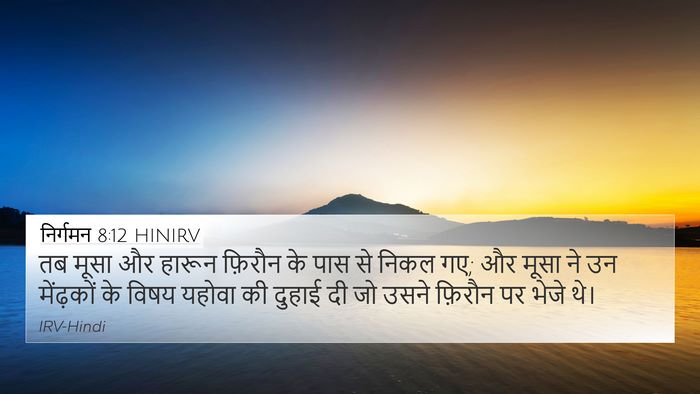 निर्गमन 8:12 HINIRV 4K Wallpaper - तब मूसा और हारून - 4K Wallpaper Bible Verse