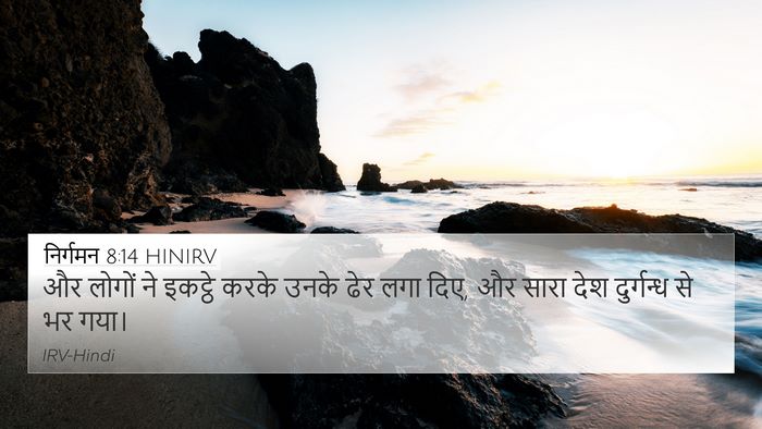 निर्गमन 8:14 HINIRV 4K Wallpaper - और लोगों ने इकट्ठे - 4K Wallpaper Bible Verse