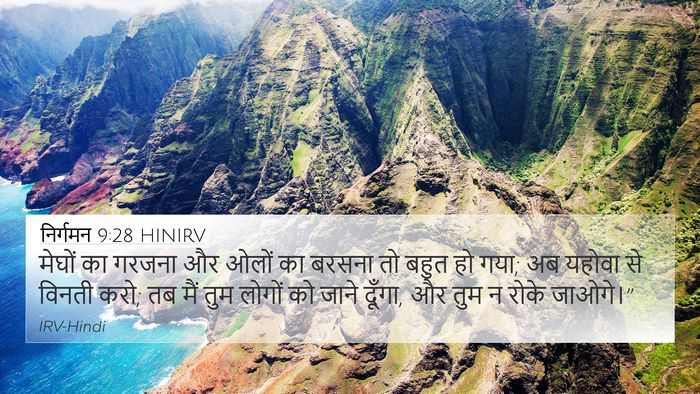 निर्गमन 9:28 HINIRV Bible Verse Image