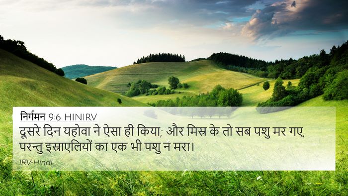 निर्गमन 9:6 HINIRV Bible Verse Image