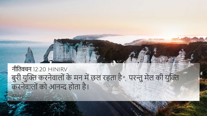 नीतिवचन 12:20 HINIRV Bible Verse Image