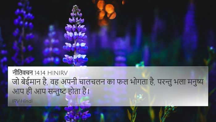 नीतिवचन 14:14 HINIRV Bible Verse Image