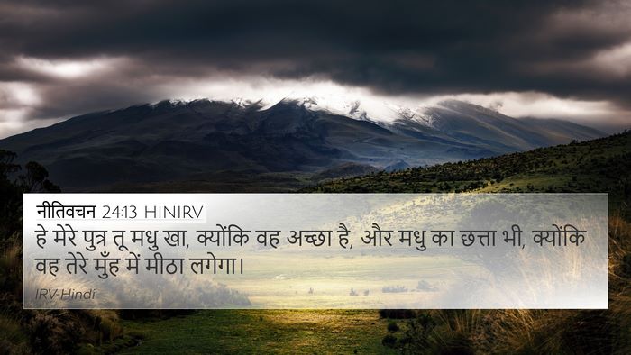नीतिवचन 24:13 HINIRV Bible Verse Image