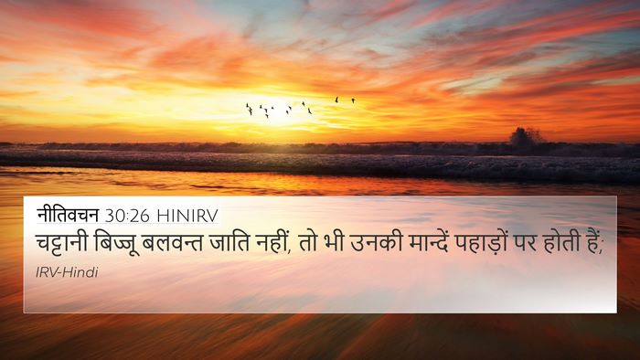 नीतिवचन 30:26 HINIRV Bible Verse Image