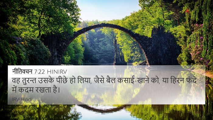 नीतिवचन 7:22 HINIRV Bible Verse Image