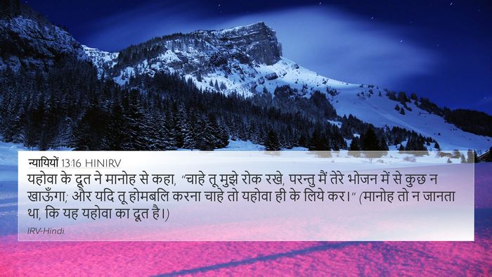 न्यायियों 13:16 HINIRV Bible Verse Image