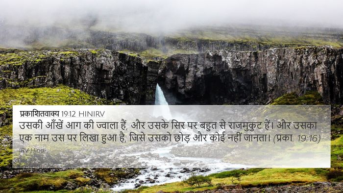 प्रकाशितवाक्य 19:12 HINIRV Bible Verse Image