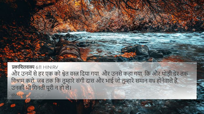 प्रकाशितवाक्य 6:11 HINIRV Bible Verse Image