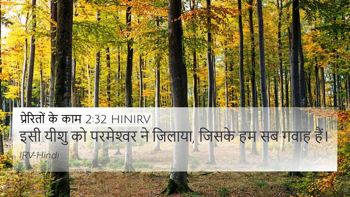 प्रेरितों के काम 2:32 HINIRV Bible Verse Image