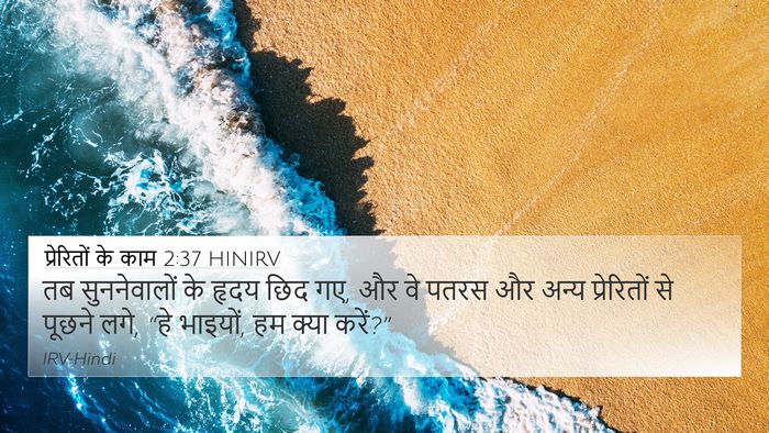 प्रेरितों के काम 2:37 HINIRV Bible Verse Image