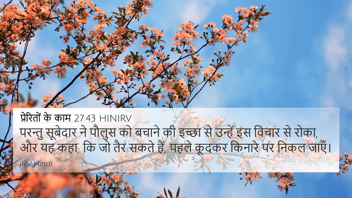 प्रेरितों के काम 27:43 HINIRV Bible Verse Image