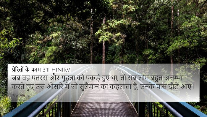 प्रेरितों के काम 3:11 HINIRV Bible Verse Image