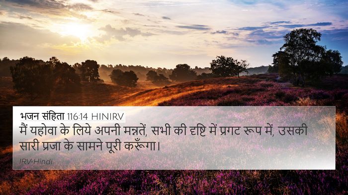 भजन संहिता 116:14 HINIRV Bible Verse Image