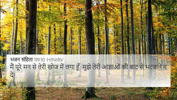 भजन संहिता 119:10 HINIRV Bible Verse Image