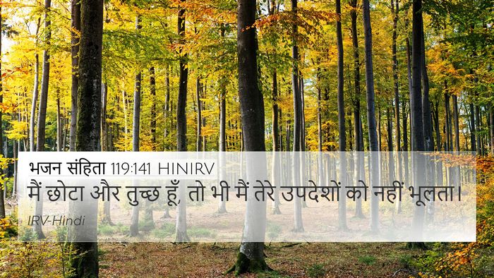 भजन संहिता 119:141 HINIRV Bible Verse Image