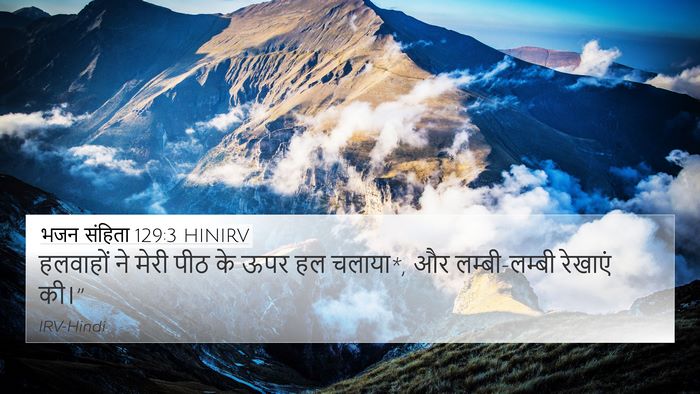 भजन संहिता 129:3 HINIRV Bible Verse Image