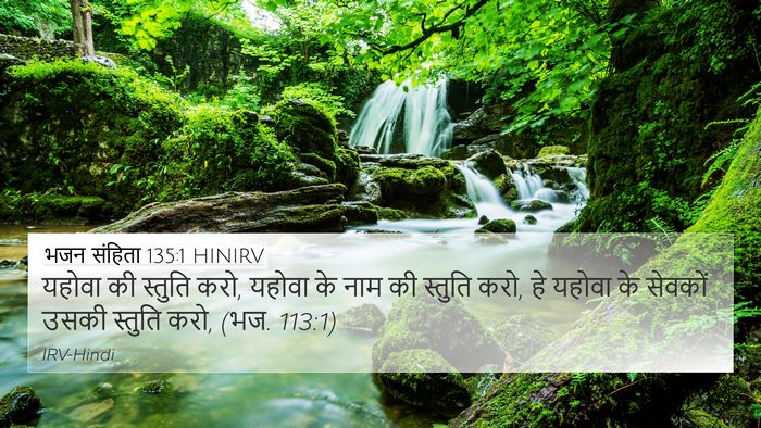 भजन संहिता 135:1 HINIRV 4K Wallpaper - यहोवा की स्तुति - 4K Wallpaper Bible Verse