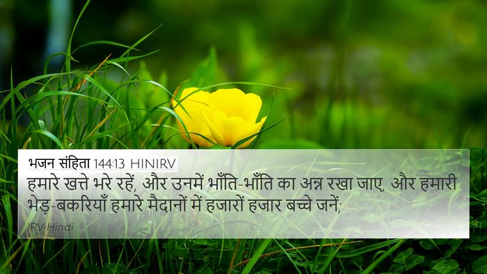 भजन संहिता 144:13 HINIRV 4K Wallpaper - हमारे खत्ते भरे - 4K Wallpaper Bible Verse