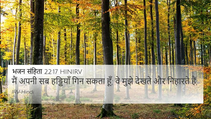भजन संहिता 22:17 HINIRV Bible Verse Image