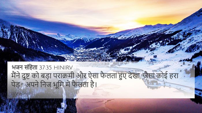 भजन संहिता 37:35 HINIRV Bible Verse Image