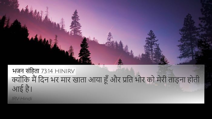 भजन संहिता 73:14 HINIRV Bible Verse Image