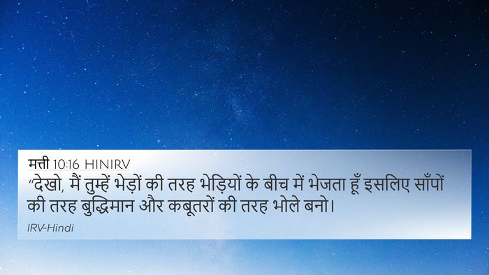मत्ती 10:16 HINIRV Bible Verse Image