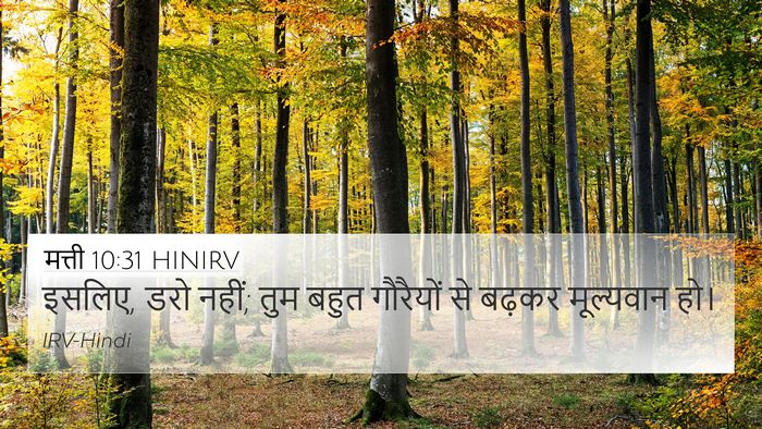 मत्ती 10:31 HINIRV Bible Verse Image