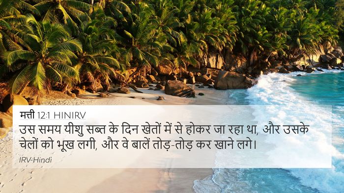 मत्ती 12:1 HINIRV Bible Verse Image