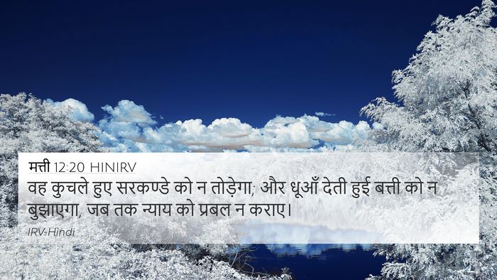 मत्ती 12:20 HINIRV 4K Wallpaper - वह कुचले हुए - 4K Wallpaper Bible Verse