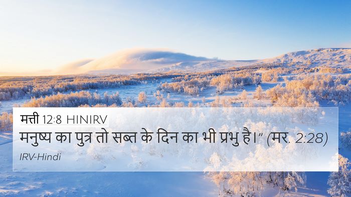 मत्ती 12:8 HINIRV 4K Wallpaper - मनुष्य का पुत्र तो - 4K Wallpaper Bible Verse