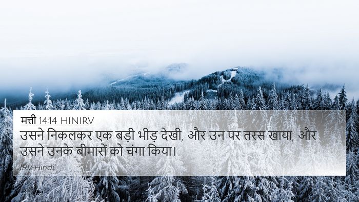 मत्ती 14:14 HINIRV Bible Verse Image