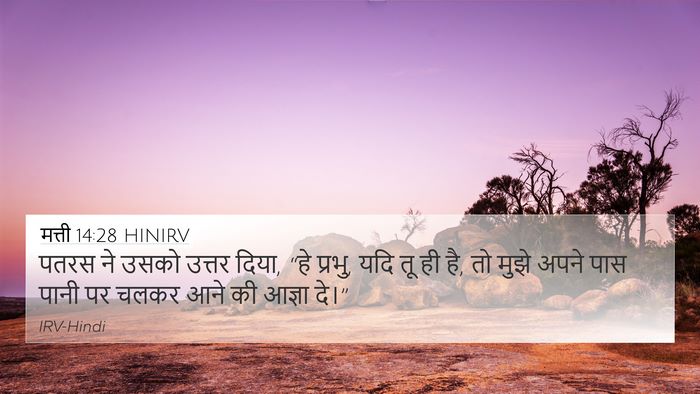 मत्ती 14:28 HINIRV 4K Wallpaper - पतरस ने उसको उत्तर - 4K Wallpaper Bible Verse