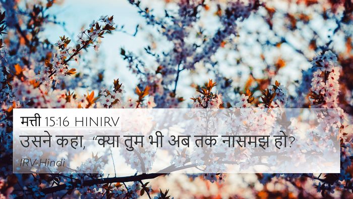 मत्ती 15:16 HINIRV Bible Verse Image