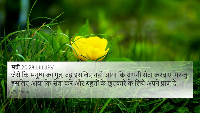 मत्ती 20:28 HINIRV Bible Verse Image