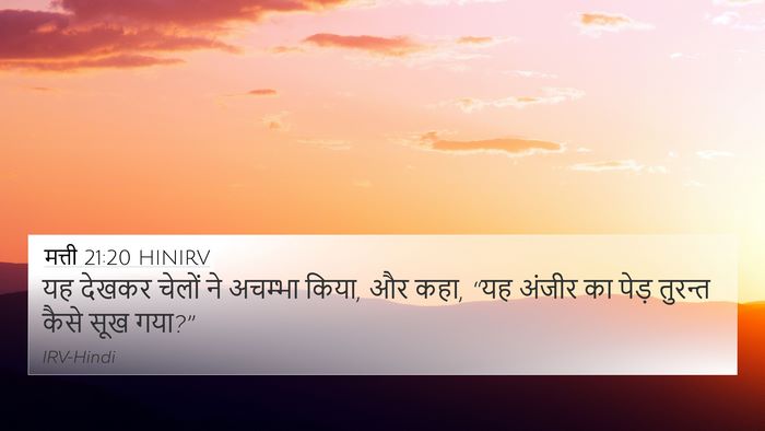 मत्ती 21:20 HINIRV 4K Wallpaper - यह देखकर चेलों ने - 4K Wallpaper Bible Verse