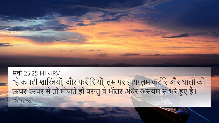 मत्ती 23:25 HINIRV Bible Verse Image