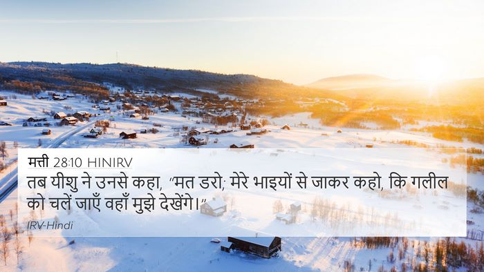 मत्ती 28:10 HINIRV Bible Verse Image