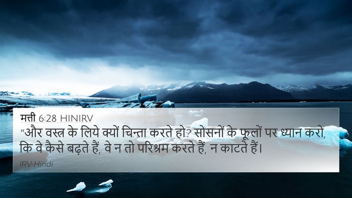 मत्ती 6:28 HINIRV Bible Verse Image